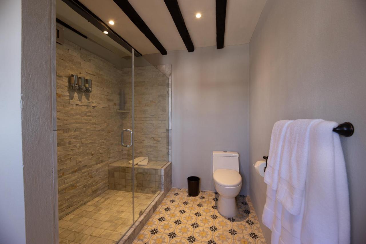 Luxury Boutique Hotel Villa Limon (Adults Only) サン・ミゲル・デ・アジェンデ エクステリア 写真